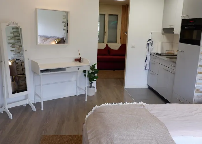 شقة Aare 2 إنترلاكن